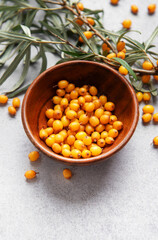 Sea buckthorn berries in bowl, harvesting healthy superfood