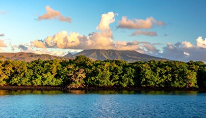 Coastal landscape with dense foliage and mountain backdrop