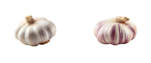Set of Two garlic bulbs isolated