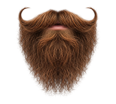 A full and bushy brown beard with curled mustache tips, perfect for adding character, isolated on transparent background