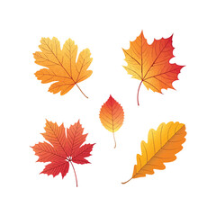 Colorful Autumn Leaves Vector Set with Realistic Seasonal Foliage Design