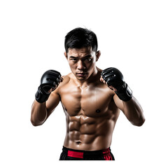 Muscular asian male boxer ready for fight in martial arts stance wearing gloves isolated on transparent background