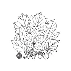 Autumn Maple Leaf Outline Vector Set | Simple Black Line Leaf Icons on Transparent Background