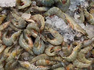 Raw prawns tightly packed on ice reflecting seafood preservation and commercial fishing abundance concept.