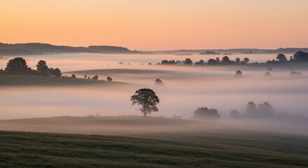 Misty Landscape at Dawn with Golden Sky and Rolling Hills in Rural Setting