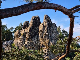 Hamburger Wappen an der Teufelsmauer im Harz
