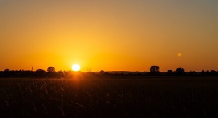 Golden Sunset Over Rural Landscape with Silhouetted Trees and Field View during Dusk