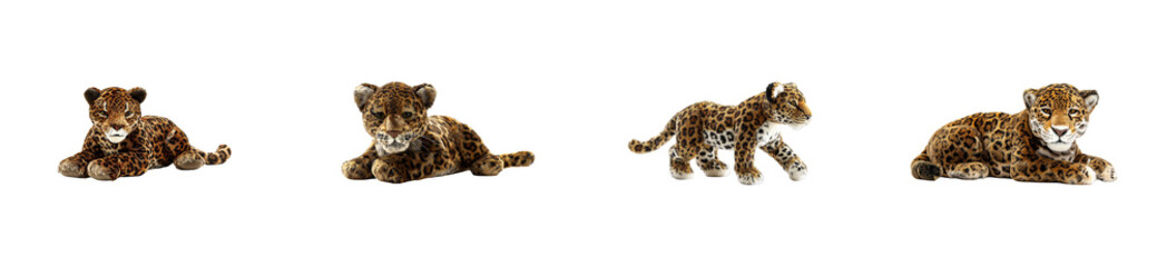 Set of Four playful jaguar cubs in various poses against black
