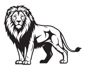 Black and white vector illustration of a majestic male lion standing proudly, showcasing its powerful physique and flowing mane.