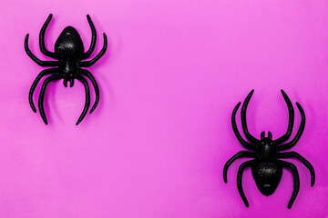 Spooky black spiders on vibrant pink background for Halloween decoration ideas