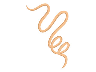 Worm Roundworm Illustration
