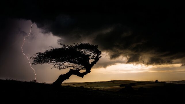 bent. A lone gnarled tree silhouetted against a stormy sky with lightning. travel magazines, destination branding, designed for outdoor magazines and nature guides and travel destination branding.
