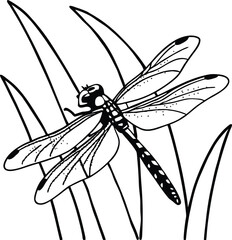 Vibrant abstract paint splatters with flowing watercolor textures creating dynamic artistic compositions isolated on transparent background