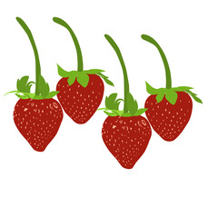 illustration of sweet and delicious strawberries