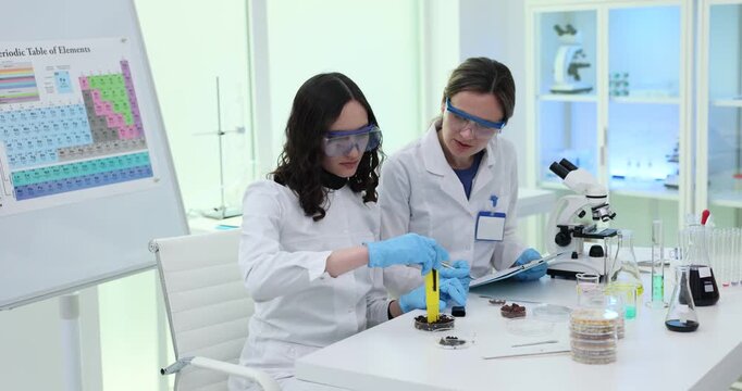 Woman scientist conducts chemistry experiment with goggles and gloves. Female researchers mix liquid and control flame recording measured reaction