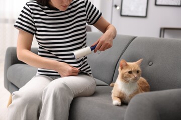 Woman with lint roller removing pet's hair from clothes and her cat on sofa at home, closeup