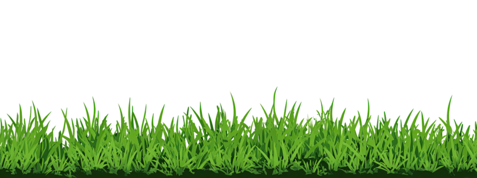 Lush green grass field (5)