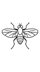 Simple black-line drawing of a fly