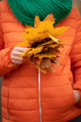 The girl is holding a beautiful bouquet of autumn leaves in hands. Lifestyle and autumn concept. Closeup
