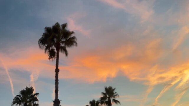 A beautiful sunset with palm trees in the background. The sky is filled with clouds and the sun is setting