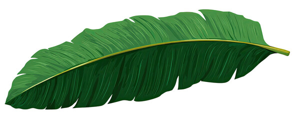 Lush green banana leaf