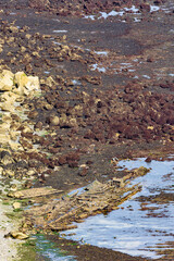 Decaying remains of the SS Falcon shipwreck on the rocky coast of Kent, England