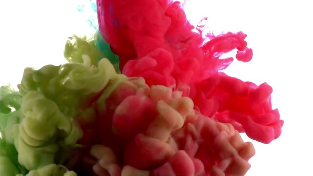 Color powder explosion, colorful smoke , creative colorful visual effect abstract rainbow gas smoke waves, holi festival celebration, colorful powder splashes, white background , footage, 4k footage