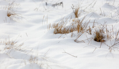 A field covered in snow and grass