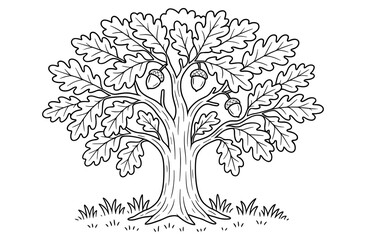 Majestic oak tree with acorns line art for nature and botany designs
