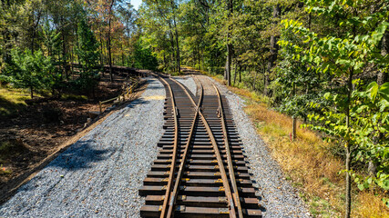Curved railway tracks stretch through a vibrant forest on a sunny day. Surrounded by green trees and soft gravel, the scene reflects nature's beauty and tranquility.