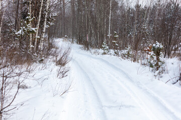 A snow covered road with trees in the background