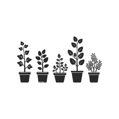 Obraz premium Silhouette of five diverse potted plants on white background
