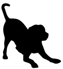 dog on white background vector