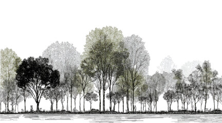 Minimal CAD Tree Line Drawing Architectural Wetland Forest Section Outline Side View Landscape Design Illustration Plot and tree side block Outline vector design pattern, Minimal CAD Tree Line Drawing © appl