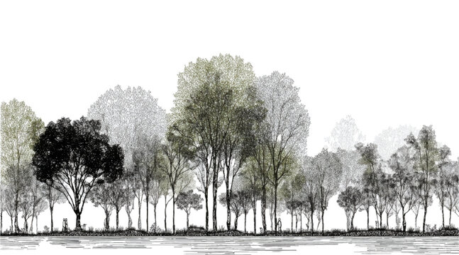 Minimal CAD Tree Line Drawing Architectural Wetland Forest Section Outline Side View Landscape Design Illustration Plot and tree side block Outline vector design pattern, Minimal CAD Tree Line Drawing