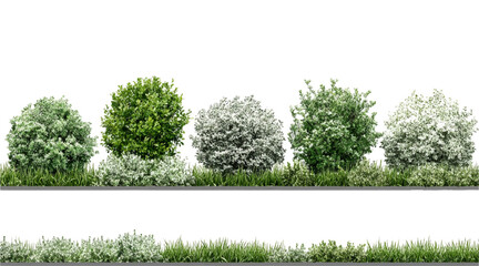 Fototapeta premium Vector Black and White Shrubs and Grass Line Art for Landscape, Garden, and Architecture Drawing – Botanical Elements Isolated on White vector design 