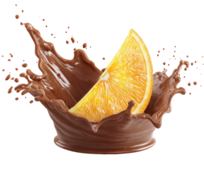 Orange slice in a chocolate splash (2)