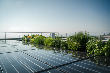 Modern rooftop garden with lush green plants and reflective flooring under a clear sky