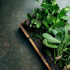 Fresh organic herbs on rustic wooden tray. Top view. Natural food ingredients