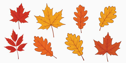 Obraz premium Autumnal Leaves: A vibrant collection of fallen leaves displays an array of colorful foliage, heralding the arrival of the autumn season and a season of harvest