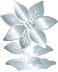 Obraz premium Silver Poinsettia Flower