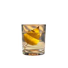 Vibrant yellow autumn leaf floats serenely in clear water within a modern glass, capturing seasonal beauty and tranquility.