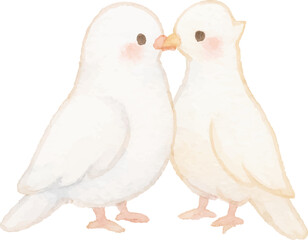 Watercolor Illustration of Two White Doves Bird