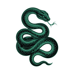 Fototapeta premium Emerald Green Coiled Snake with Forked Tongue, Reptile T-shirt Design