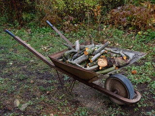 Rusty Wheelbarrow Full of Chopped Wood in Autumn Garden