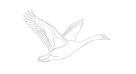 Majestic Swan Flying with Outstretched Wings in Continuous Line Art on Isolated White Background