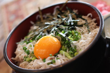 fried rice with shrimp　シラス丼