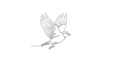 Graceful Bird in Flight, Rendered in Continuous Line Art Style, Isolated White Background