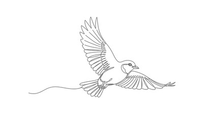 Graceful Bird Soaring in Flight, Rendered in Continuous Line Art Style, Isolated White Background