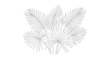 Detailed Tropical Palm Leaves Foliage in One Line Art Style, Isolated White Background